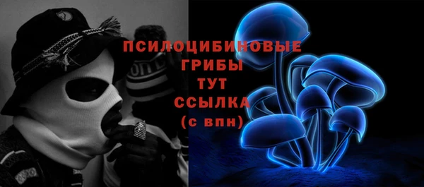 ALPHA-PVP Алексин
